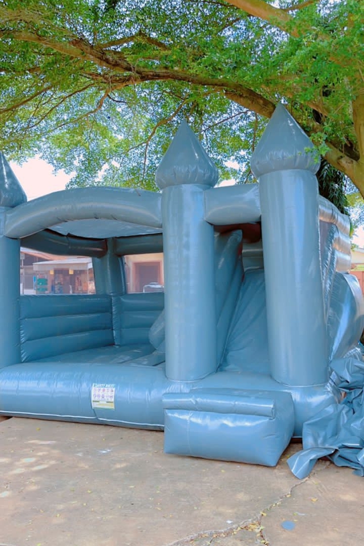 Family party entertainment